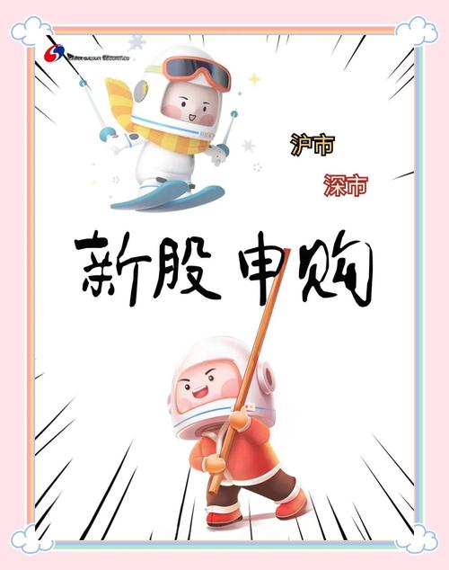 查询新股申购渠道_新股申购信息_怎么查询有没有打到新股