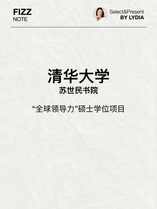 清华大学苏世民学者项目_全球领导力硕士项目_清华 苏世民