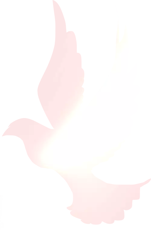 清华 苏世民_清华大学苏世民学者项目_全球领导力硕士项目