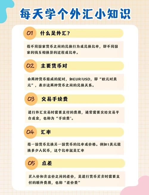 外汇交易技术分析技巧_一个交易者的资金管理_外汇交易基本分析技巧