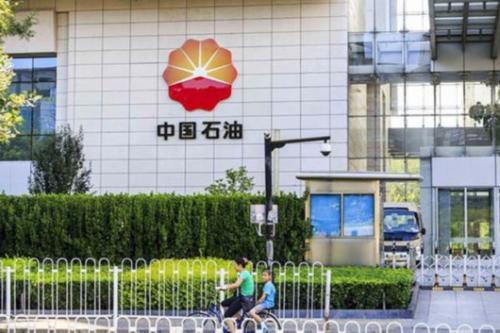 中国石油天然气集团有限公司副部级级别_中石油股份公司副总裁是什么级别_中石油老总级别