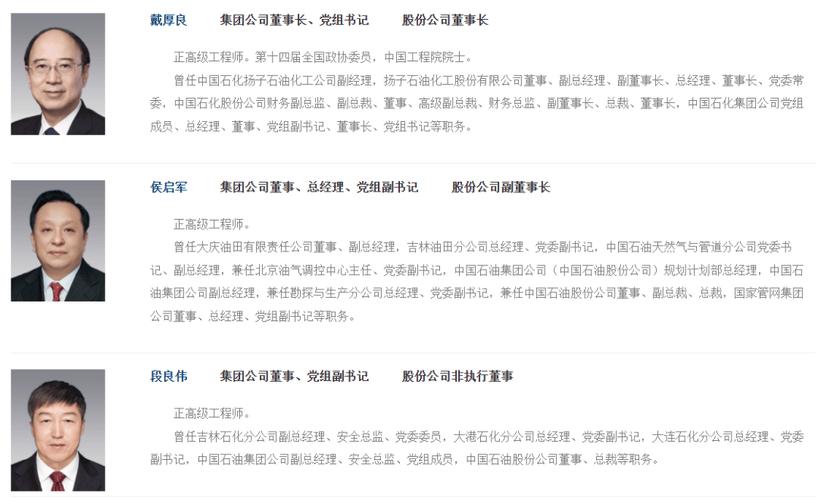 中石油股份公司副总裁是什么级别_中国石油天然气集团有限公司副部级级别_中石油老总级别