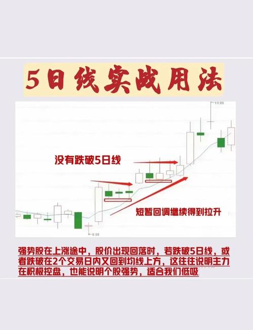 周线选股实战案例_炒股看日线还是周线_月线买入技巧