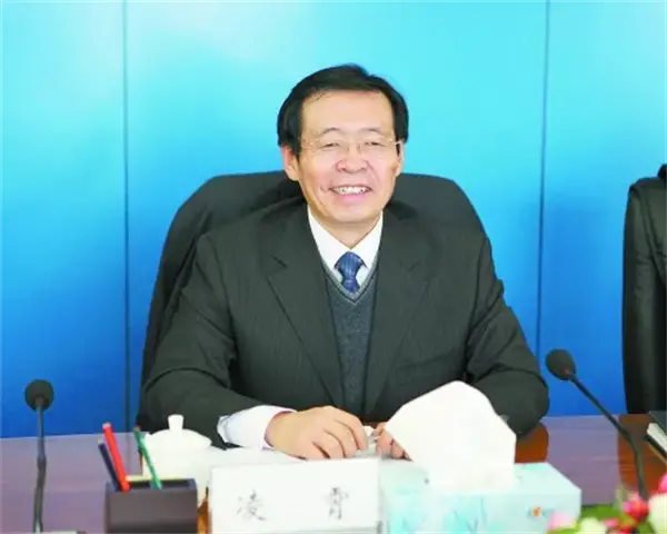 中石油股份公司副总裁是什么级别_中石油凌霄卸任副总裁主动投案_石油系统高级领导腐败案例