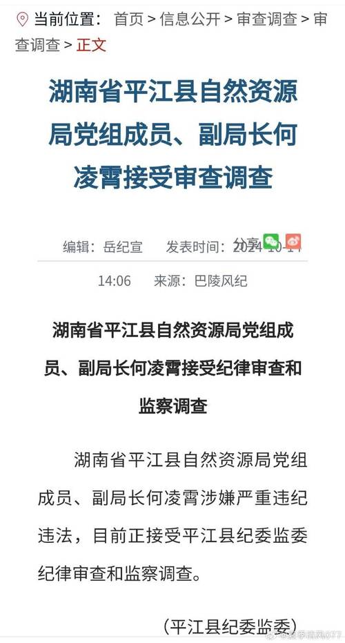 中石油股份公司副总裁是什么级别_中石油凌霄卸任副总裁主动投案_石油系统高级领导腐败案例