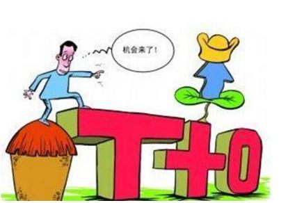 t+0分时图交易技巧大全_超短线T+0交易策略_半仓滚动做T
