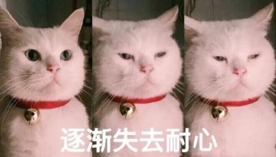 骚扰垃圾短信_市场占有率最高106短信平台_短信营销治理