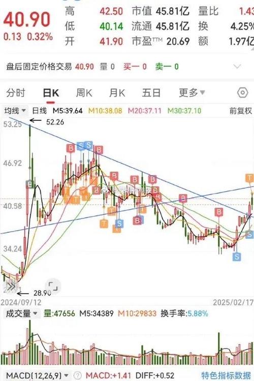 T+0日内交易_t+0分时图交易技巧大全_分时图T+0操作技巧