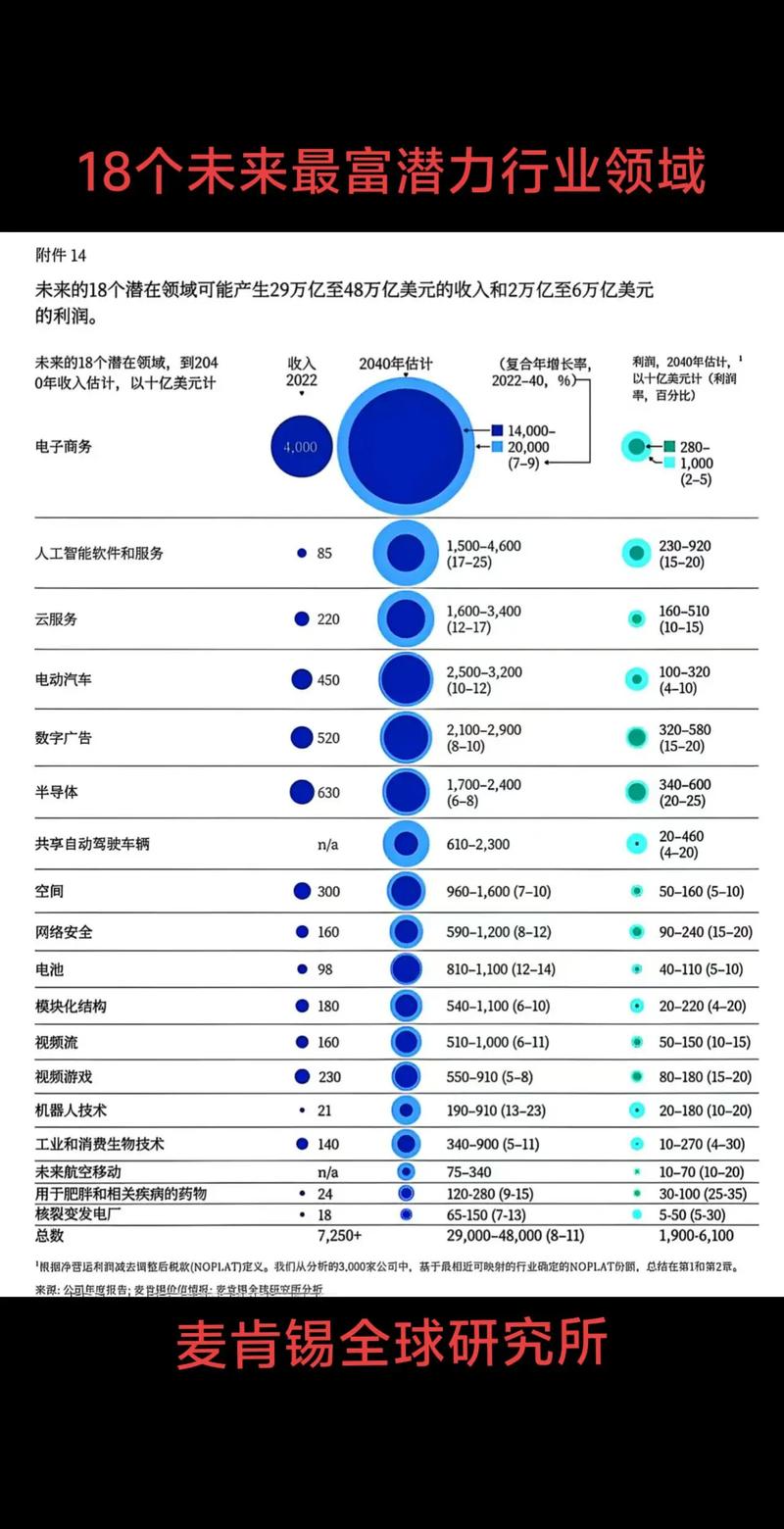 麦肯锡研究报告_高增长潜力行业分析_麦肯锡未来行业预测