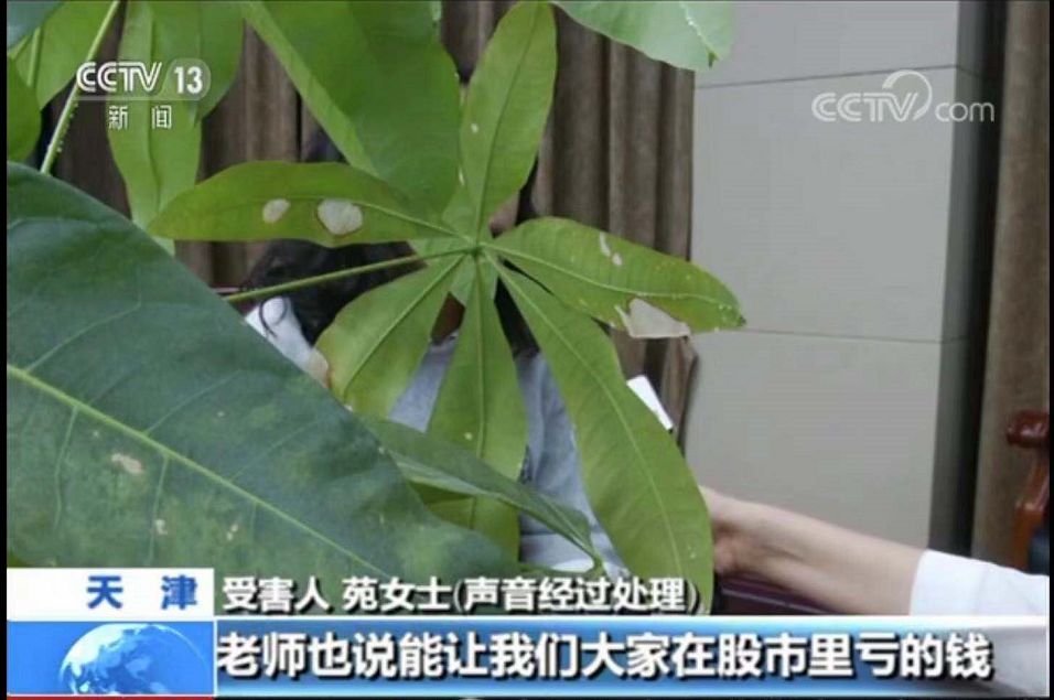 炒恒指期货被骗十几万_法学院研究生被骗250万_荐股电话深信不疑