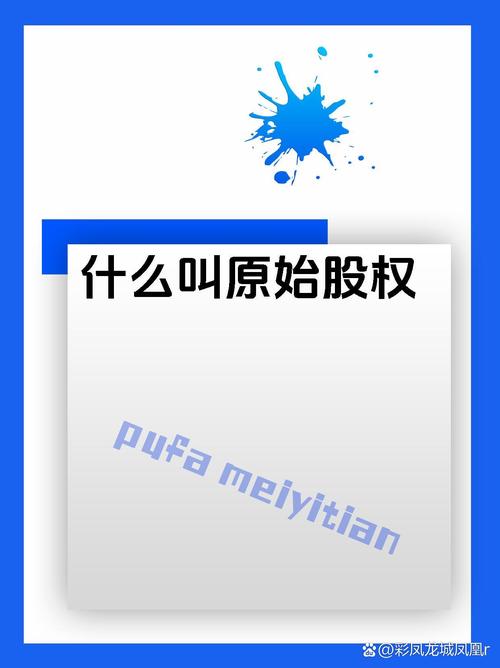 原始股权投资_原始股权投资风险分析_原始股权投资回报潜力