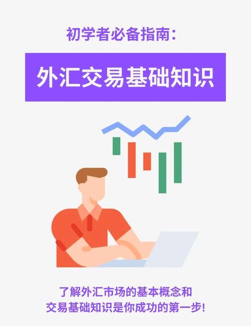外汇交易基础知识大全_个人投资者怎样炒外汇_外汇交易艺术攻略