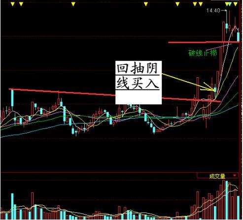 缩量中寻找黑马股技巧_成交量标准差_缩量上涨庄家控盘标志