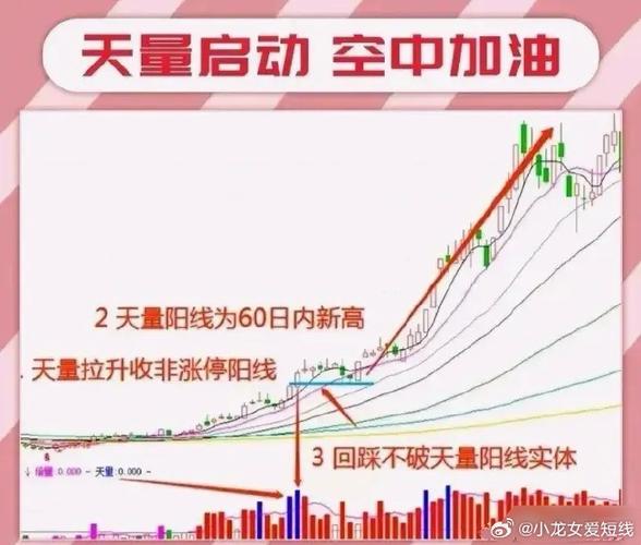 中签新股赚钱概率_新股中签后操作流程_中签的股票能涨多少
