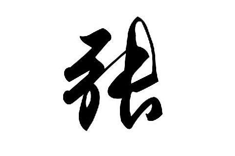 张姓男孩名字一鸣惊人 张姓男孩名字云霓参辰 张姓男孩名字廷煜光明_张子轩名字打分