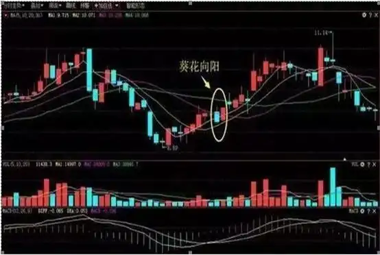持仓遇到的问题分析_交易系统严格执行_吊颈线会怎样