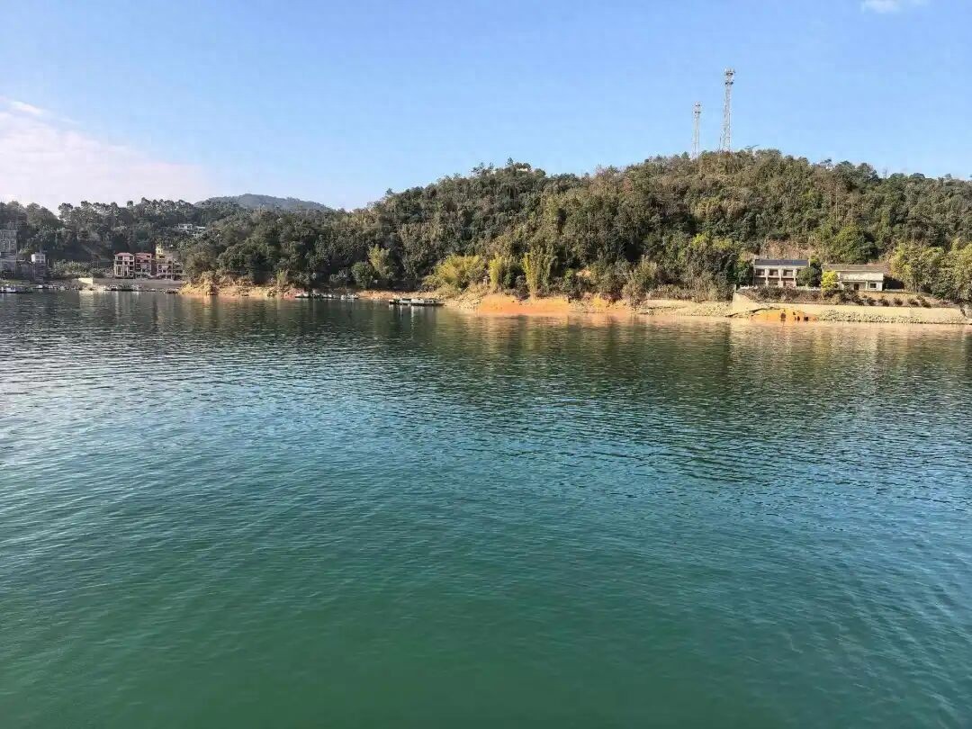 保险行业盈利能力分析_银保系保险公司盈利增长格局_非上市寿险市场投资能力分化