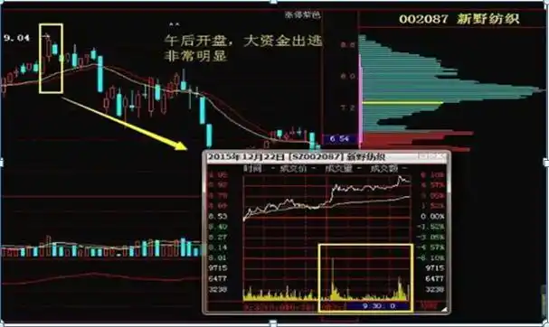 炒股成功的例子_散户亏损原因_止损的重要性