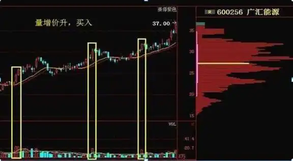 止损的重要性_散户亏损原因_炒股成功的例子