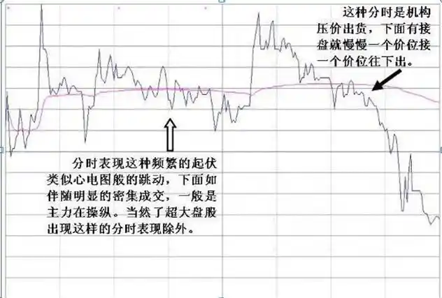 止损的重要性_炒股成功的例子_散户亏损原因