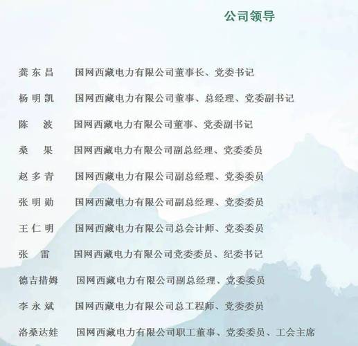 中国国电集团公司_国电山东电力领导班子_国电集团分支机构