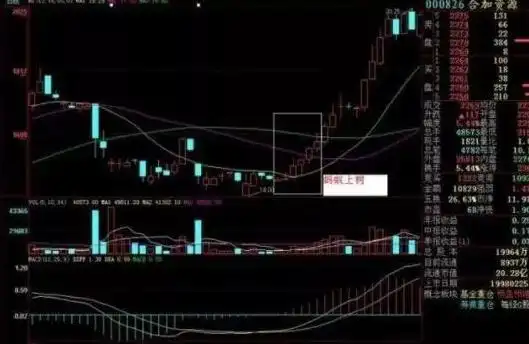 巴菲特投资策略_股票主力筹码_逆向思维炒股