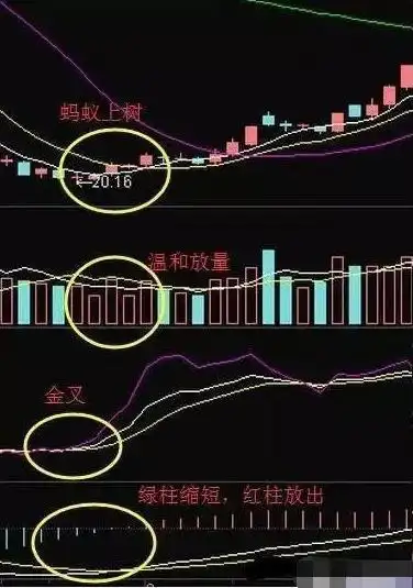 逆向思维炒股_股票主力筹码_巴菲特投资策略