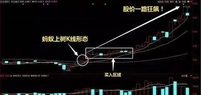 逆向思维炒股_巴菲特投资策略_股票主力筹码