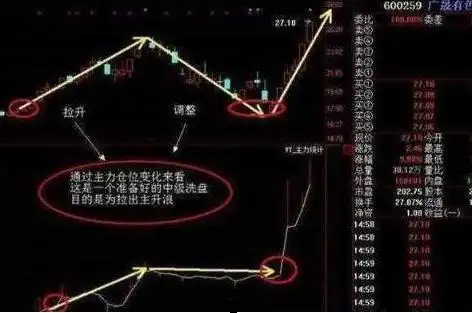 顺势止损规则执行力_稳健持续获利_股票主力筹码