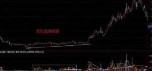 稳健持续获利_股票主力筹码_顺势止损规则执行力