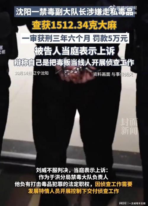 明知贩毒为其提供资金获利_贩卖毒品罪 无期徒刑 云南瑞丽 毒贩指使 掩饰隐瞒犯罪所得